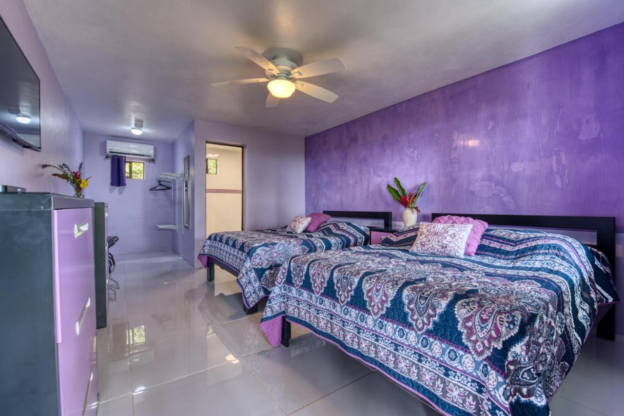 Hotel Casa Conley Del Mar Puerto Viejo de Talamanca Kültér fotó