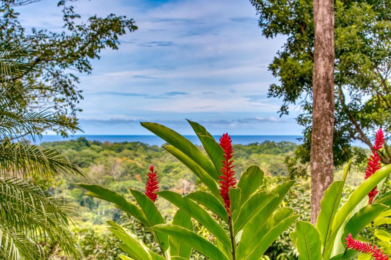 Hotel Casa Conley Del Mar Puerto Viejo de Talamanca Kültér fotó