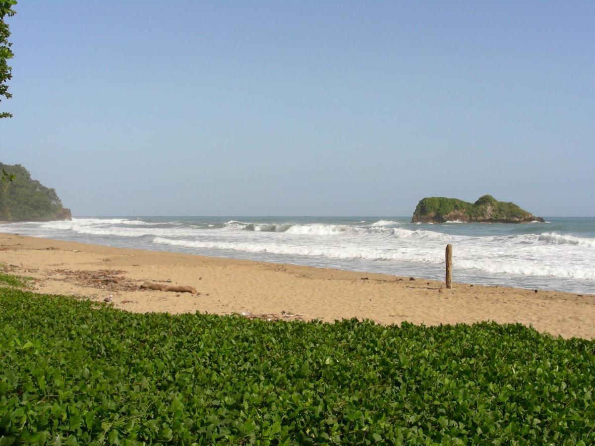 Hotel Casa Conley Del Mar Puerto Viejo de Talamanca Kültér fotó